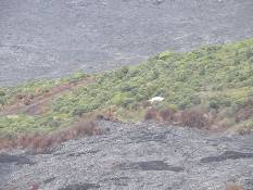 06_Hawaii_3 150.jpg (66642 bytes)